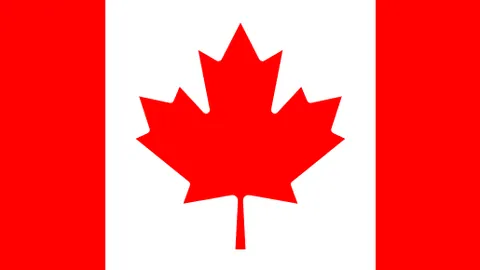 冰雪盛宴：冬日暖阳狂欢盛典